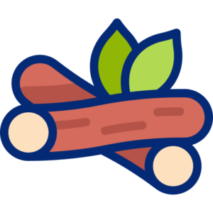 cannelle