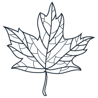 AutomneLeaf | La Savonnerie de Nyons