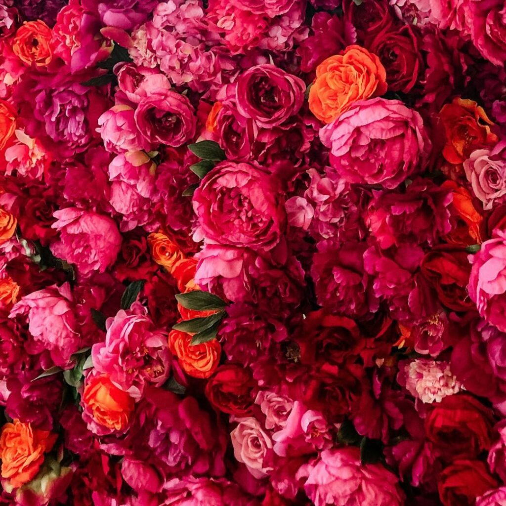 enorme bouquet de roses rouges et rose foncées