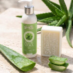 AloeveraMains2 | La Savonnerie de Nyons