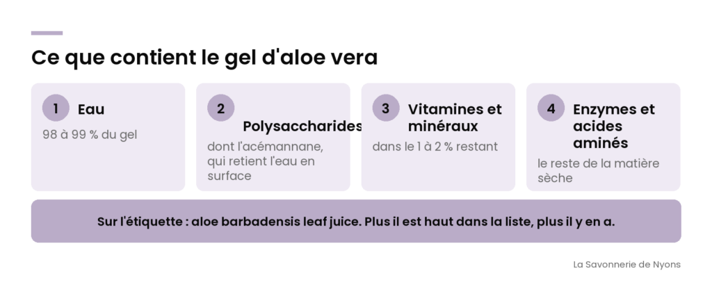 Infographie : ce que contient le gel d'aloe vera, eau, polysaccharides, vitamines et minéraux - La Savonnerie de Nyons