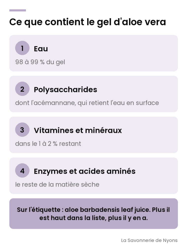 Infographie : ce que contient le gel d'aloe vera, eau, polysaccharides, vitamines et minéraux - La Savonnerie de Nyons