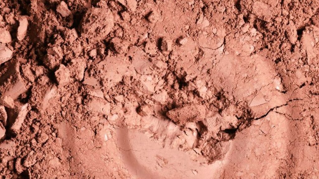 Argile rouge : bienfaits pour la peau et les cheveux