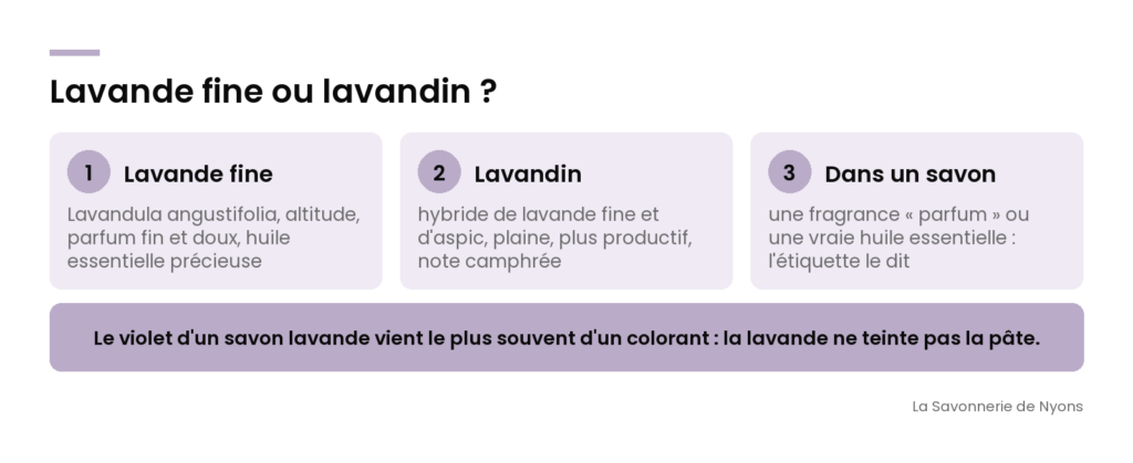 Infographie : lavande fine ou lavandin, ce qui les distingue et ce que dit l'étiquette d'un savon lavande - La Savonnerie de Nyons