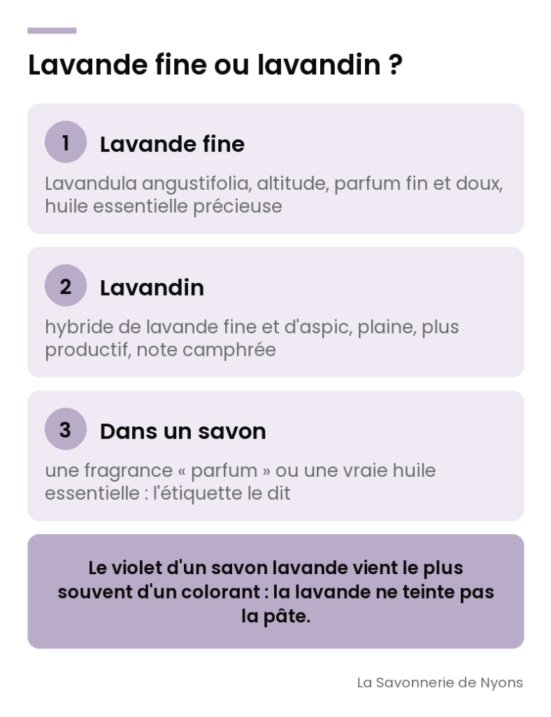 Infographie : lavande fine ou lavandin, ce qui les distingue et ce que dit l'étiquette d'un savon lavande - La Savonnerie de Nyons