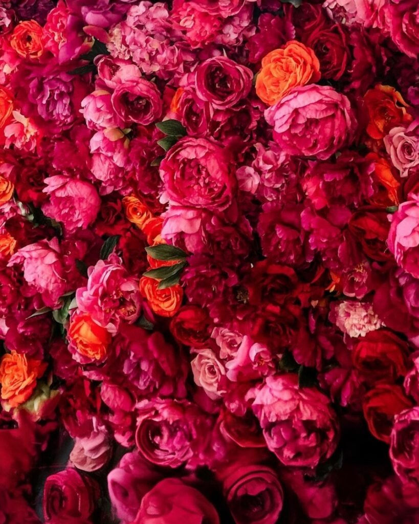 Bouquet dense de roses rouges et roses, format portrait - La Savonnerie de Nyons